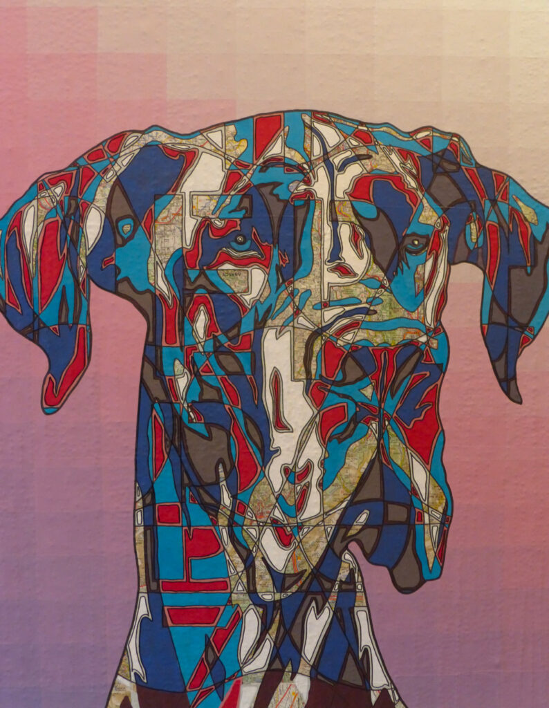 général canin 120x60cm