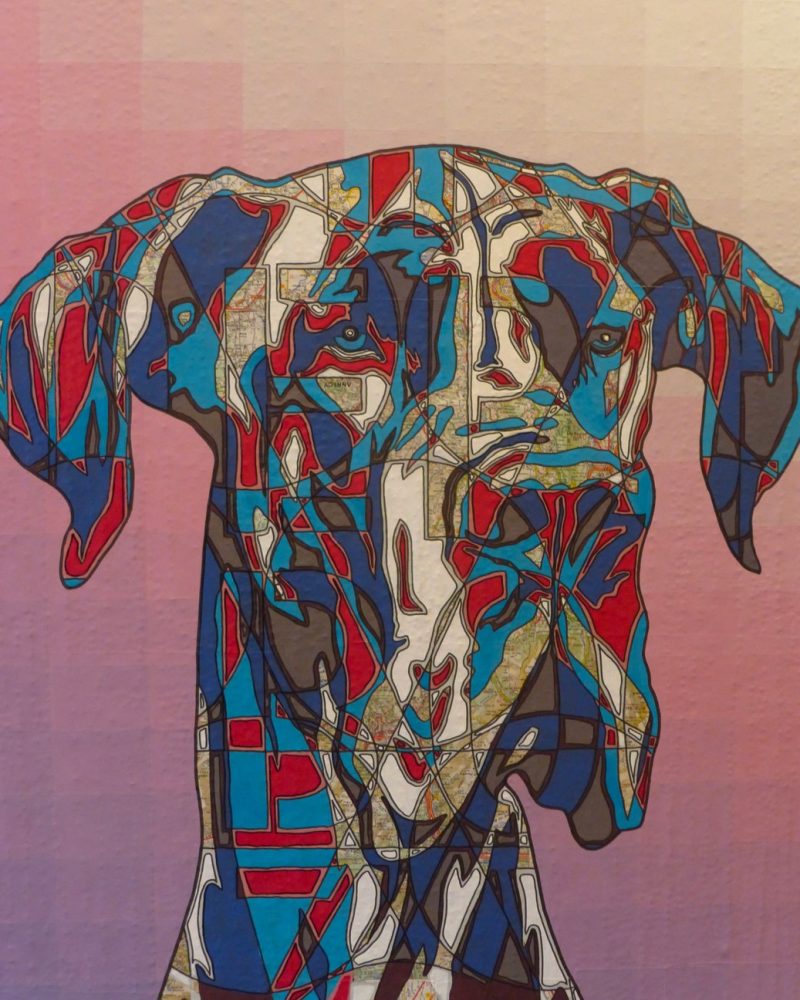 général canin 120x60cm