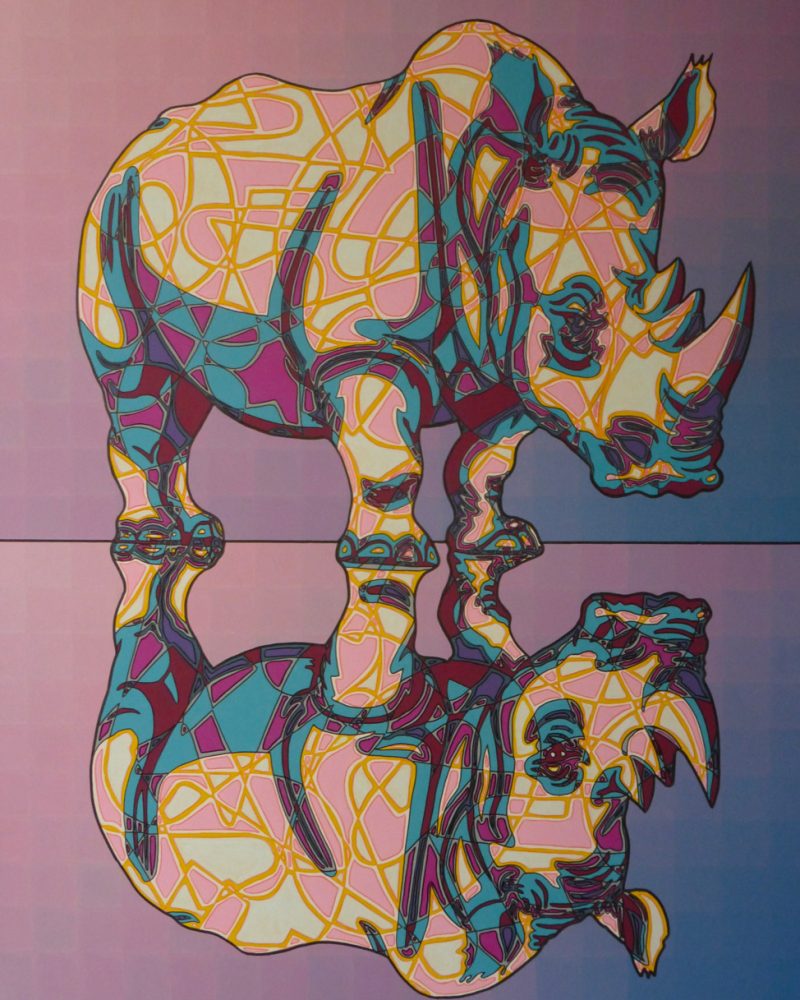 rhinosophe 100x81
